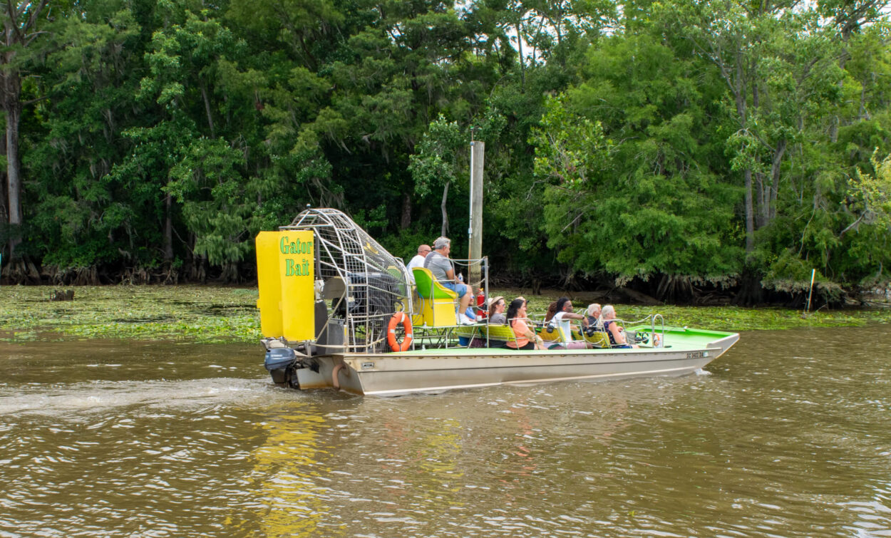 alligator sightseeing airboat tour near Myrtle Beach