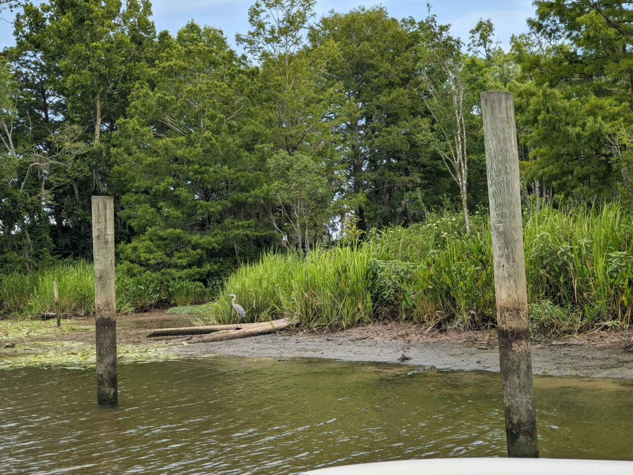 Murrells Inlet shore